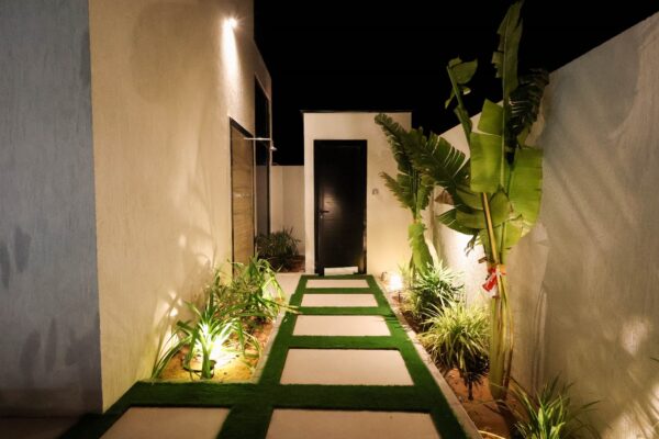 Hatta Orchard - Image 4