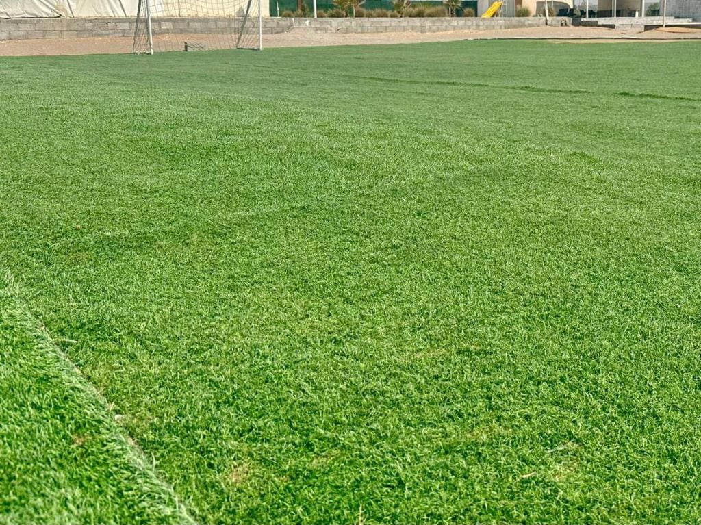 Desert Breeze Resort Ras al-Khaimah - Image 11