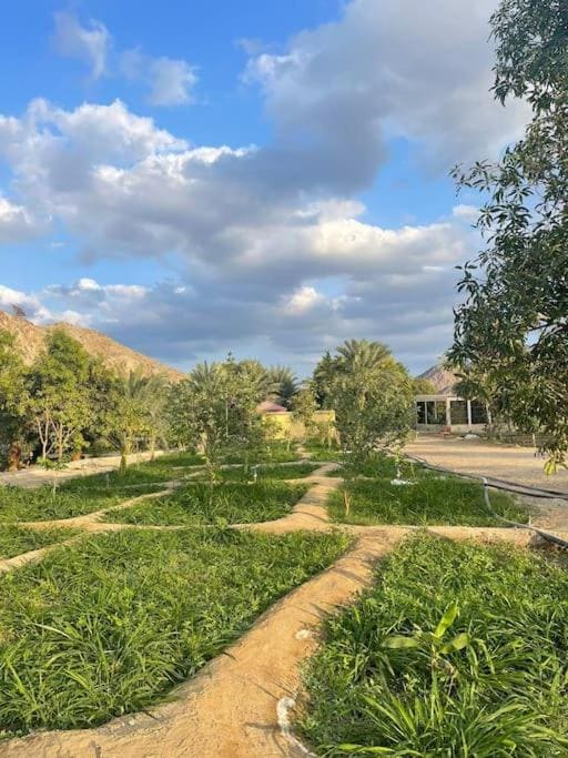 Alsalam Farmhouse Hatta Dubai - Image 10