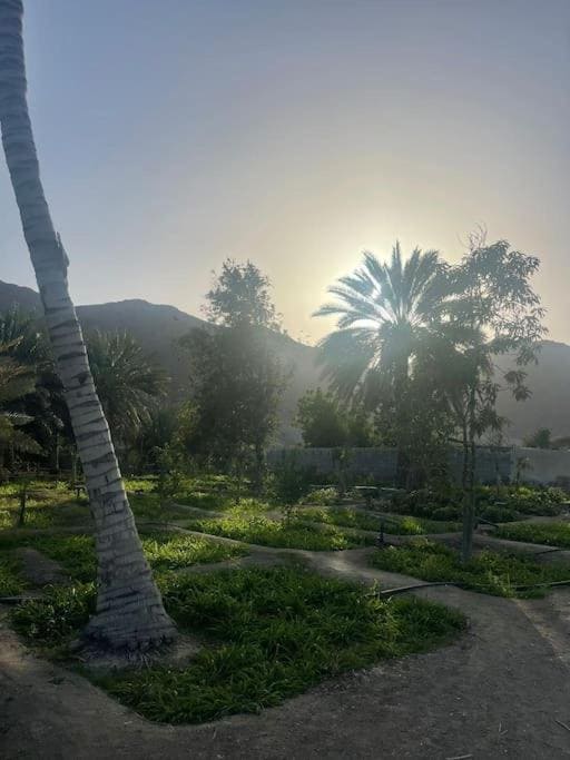 Alsalam Farmhouse Hatta Dubai - Image 12