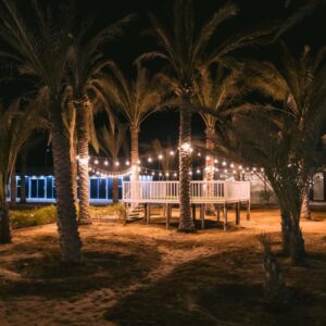 Palm Escape Farmhouse Ras al-Khaimah