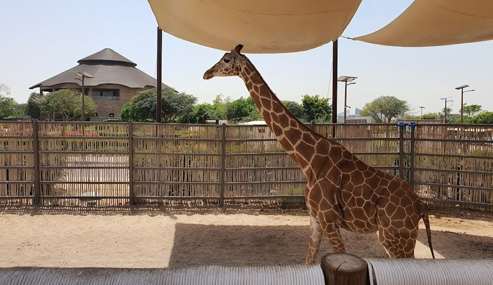 Dubai safari Park : Safari Bundle Ticket - Image 4