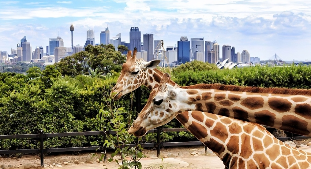 Dubai safari Park : Safari Bundle Ticket - Image 5