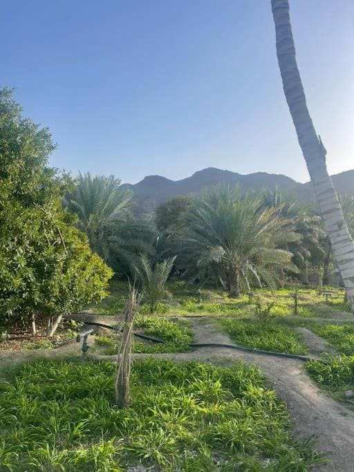 Alsalam Farmhouse Hatta Dubai - Image 5
